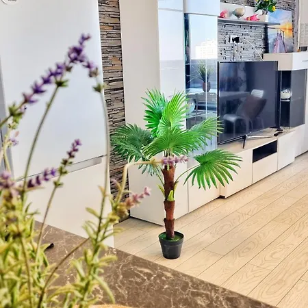 Appartamento Seveneleven